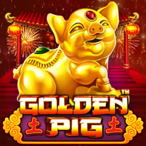 Golden Pig